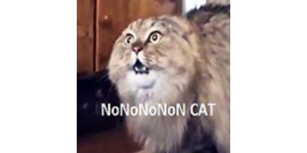 Nono cat hotsell