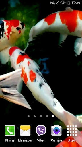 Koi 4K Video Live Wallpaper Screen 2