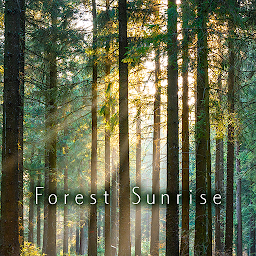 Picha ya aikoni ya Forest Sunrise Theme +HOME