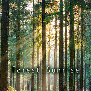 Forest Sunrise Theme +HOME