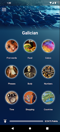 Android application Learn Galician screenshort
