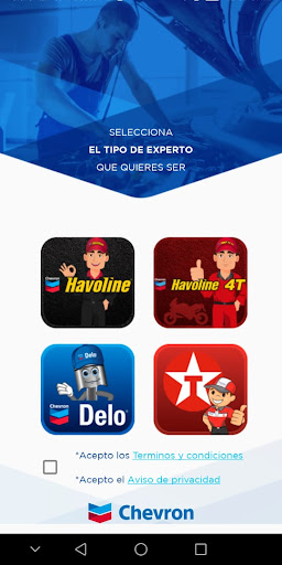 Experto Chevron Screen 2