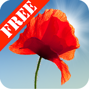 Top 30 Personalization Apps Like Poppy Field Free - Best Alternatives