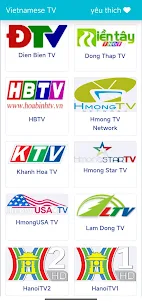 베트남 TV