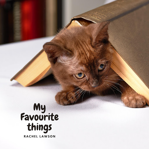 My Favorite Things, 저자: Rachel Lawson - Google Play 오디오북