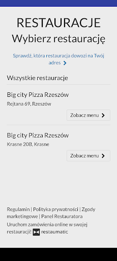 Big City Pizza Screen 3