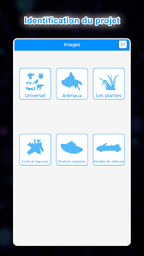 Aperçu de l'application