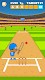 screenshot of Stick Cricket Game