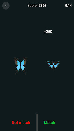 Brain Games - Screenshot 3