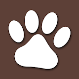 Animal World A-Z Collections icon