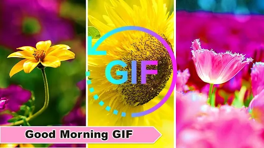 Good Morning Gif Wish Messages