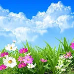 Cover Image of Download Flower Spring Live Wallpaper  APK
