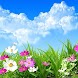 Flower Spring Live Wallpaper - Androidアプリ