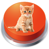 Kitten Meow Cat Sound Button icon