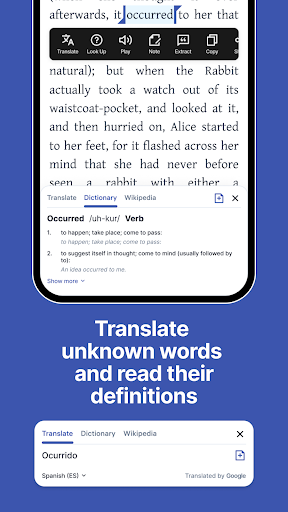 WholeReader: Immersive Reader Screen 2