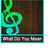 J.Bieber - What Do You Mean icon