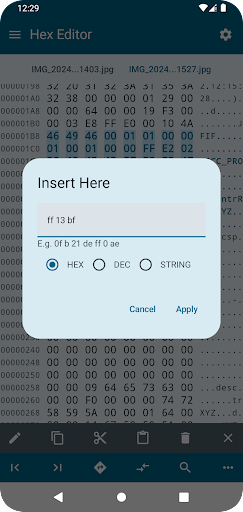 Hex Editor Screen 2