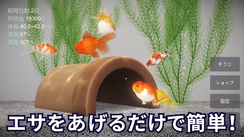 金魚育成アプリ・ポケット金魚のおすすめ画像2