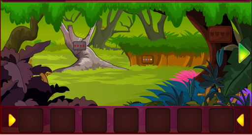 Fox Rescue From Cage - Escape