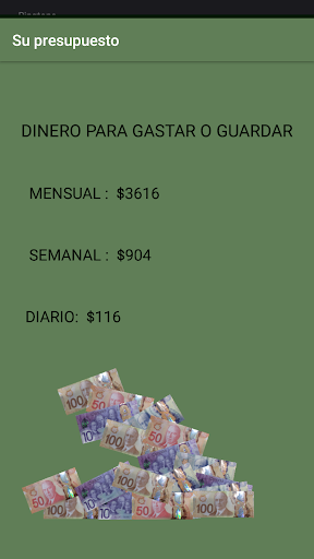 Su presupuesto Screen 3