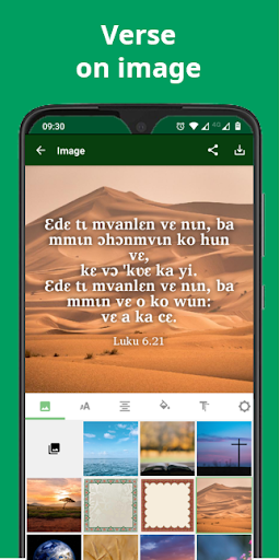 Bible in Abouré, Luke + audio Screen 3