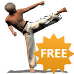 Cover Image of Herunterladen Taekwondo-Formulare (gesponsert)  APK