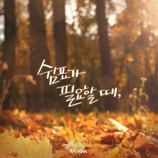 카카오톡 테마 - 쉼표가 필요할 때_가을2 (카톡테마) logo