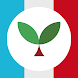 Learn French with Seedlang - Androidアプリ