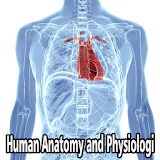 Human Anatomy and Physiology icon