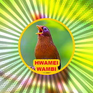 Masteran Burung Hwamei / Wambi
