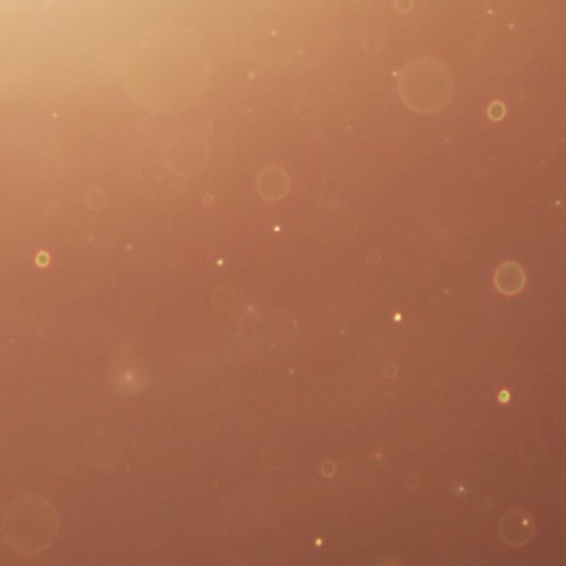 shiny wallpaper logo