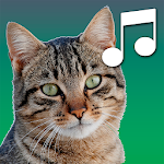 Cover Image of Download Sounds of cats  APK