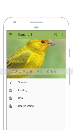 Android application Canary screenshort