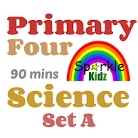 P4 Science Set A
