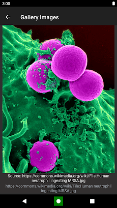 Bacteria: Types, Infectionsのおすすめ画像4