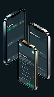 Aperçu de l'application