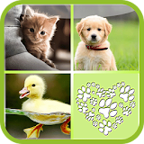 Baby Animals Matchup - Kids icon