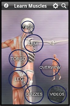 Learn Muscles: Anatomyのおすすめ画像1