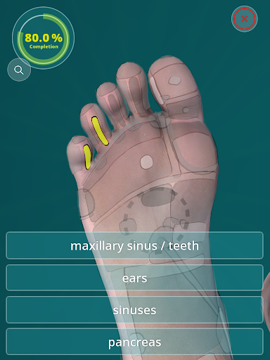 Reflexology Quiz 3D - Foot - H - Apps On Google Play