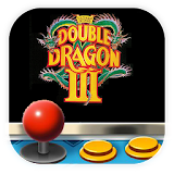Code Double Dragon 3 Arcade icon