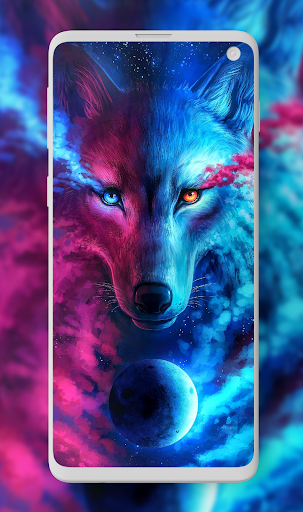 Wolf Wallpaper HD