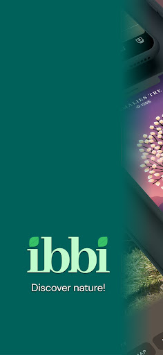 Android application ibbi (beta) screenshort
