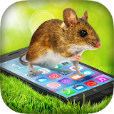 Mouse In Phone Prank icon