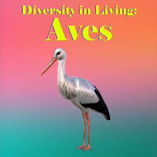 Diversity in Living: Aves logo