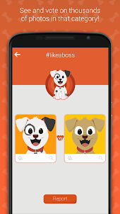 Hashdog - Dog's social network
