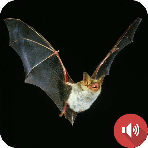 Bat Sounds logo