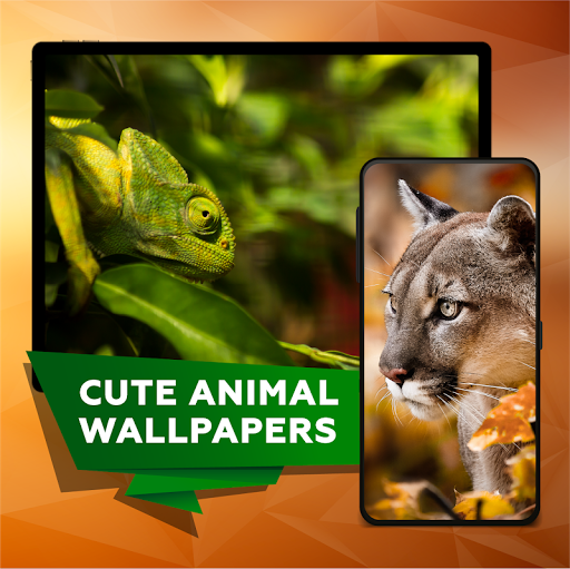 Android application Cute animal picture wallpapers screenshort
