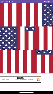 US Flag Puzzle
