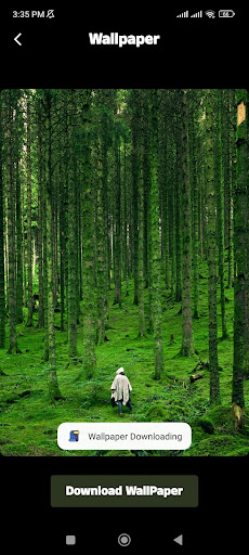 HD Wallpaper Screen 2