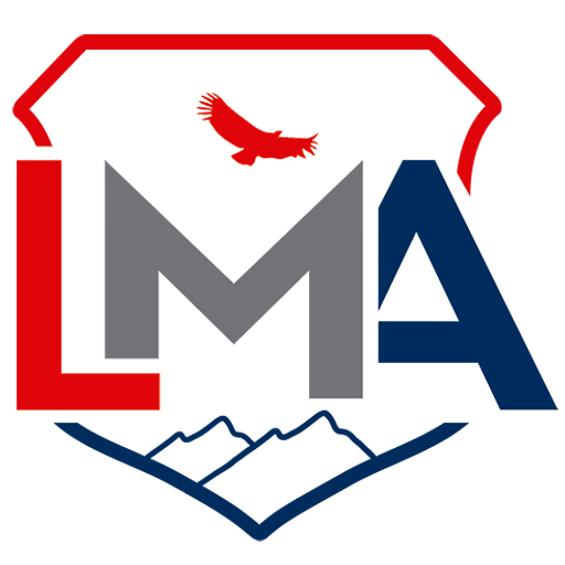 Liceo Mayor Andino logo